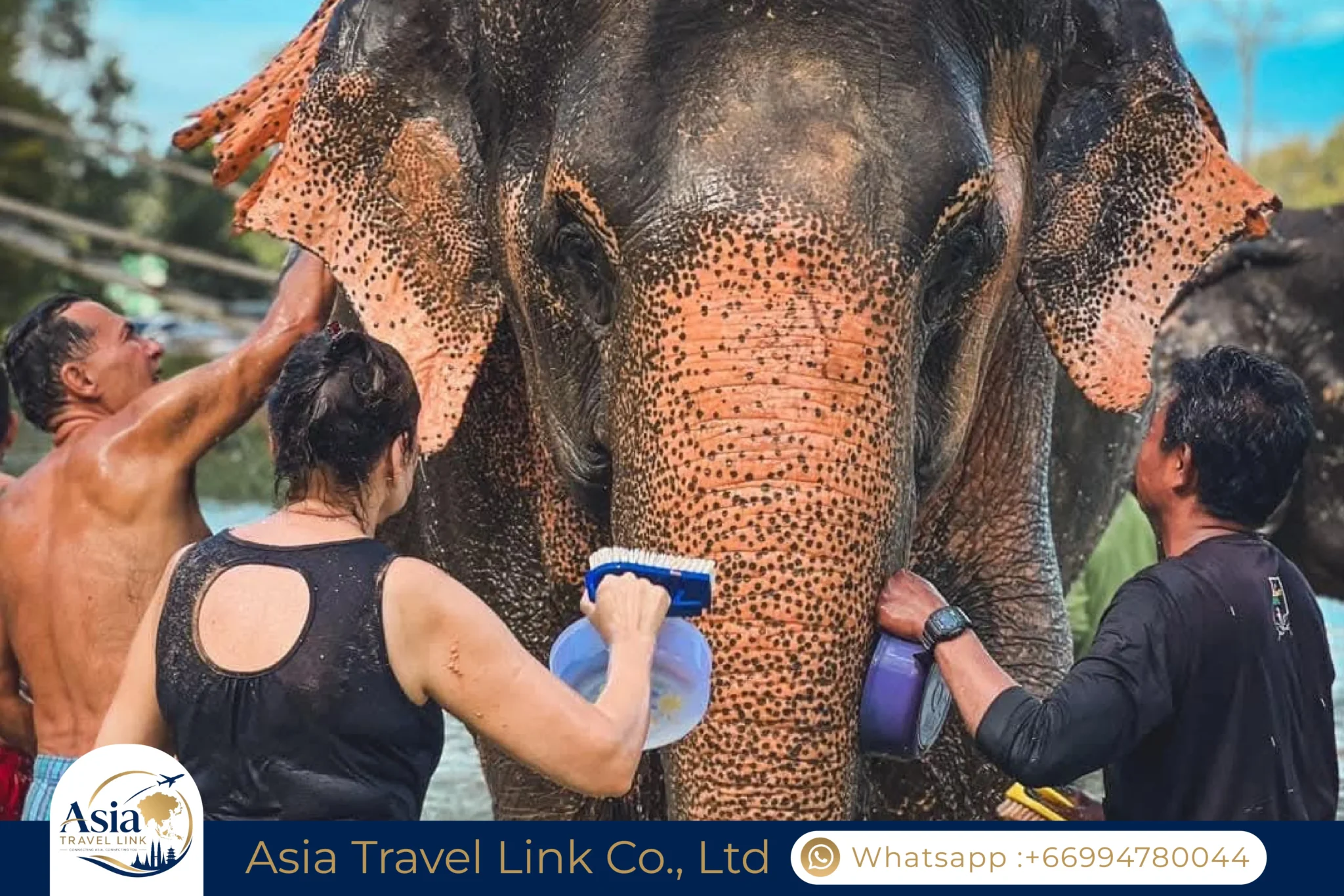 Cruise & Shore Excursions